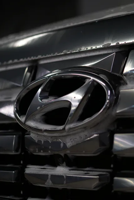 Hyundai Palisade — Регулярный уход, кадр 3