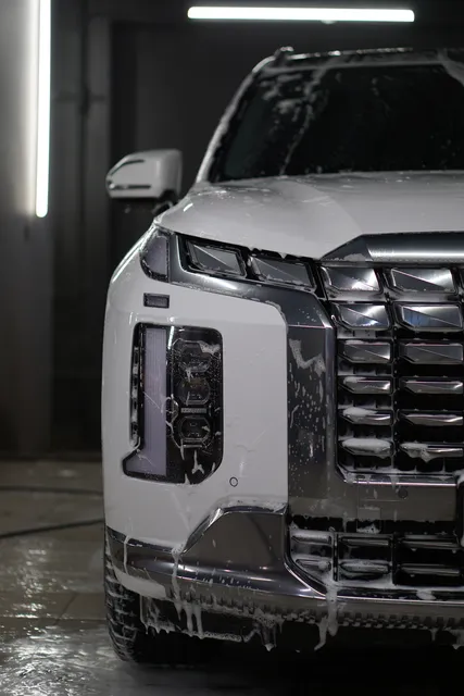 Hyundai Palisade — Регулярный уход, кадр 1